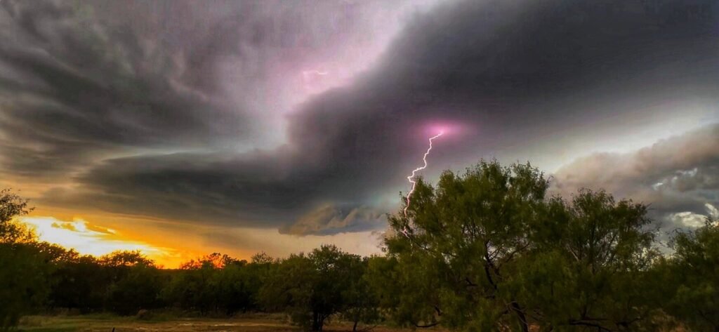 A lightning bolt descends through layered storm clouds above trees illuminated by sunset near the horizon.